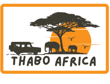 Thabo Africa Safaris
